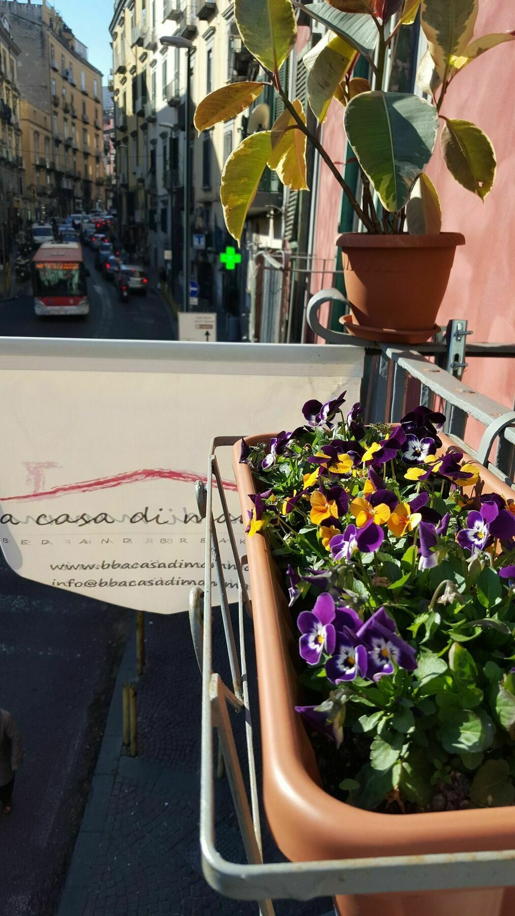 A Casa Di Mamma Bed & Breakfast Napoli Ngoại thất bức ảnh